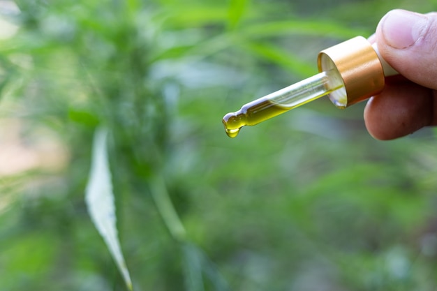 Hand holding a dropper cannabis oil at blurred background