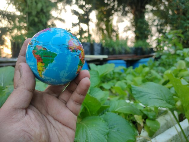 日の出と緑の植物の背景を持つ地球を持っている手