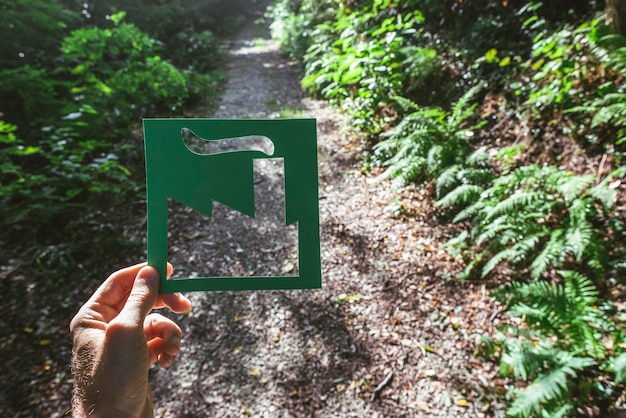 Foto mano che tiene il simbolo vivente verde ecologico