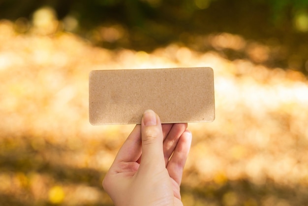 Hand holding empty card in autumn park in sunny rays.  Background. Copy space.