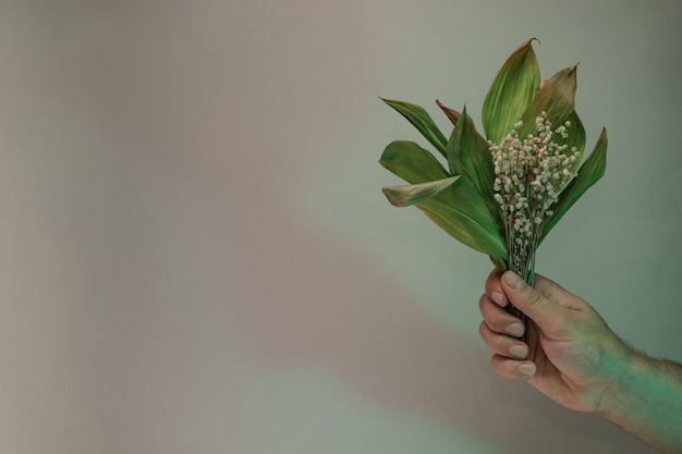 Hand holding faded bouquet Convallaria majalis flowers in the color light Beautiful plant minimal i