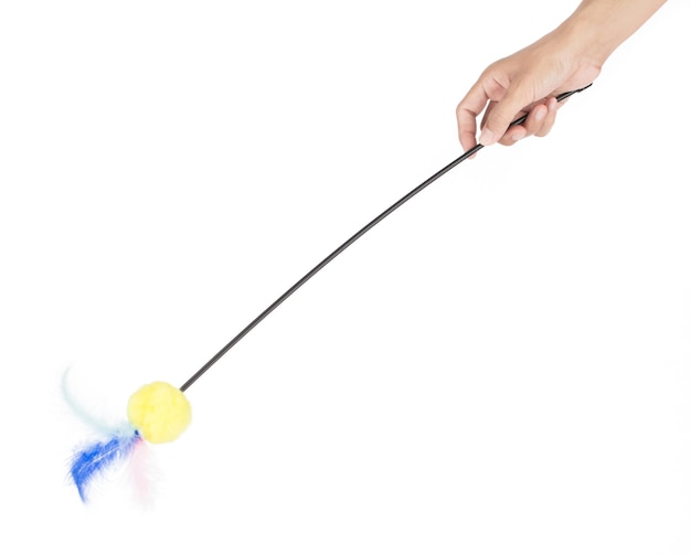 Hand holding feather for cat toy isolated on a white background