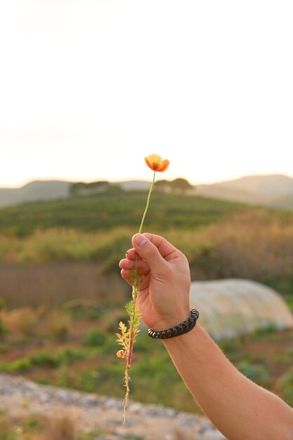 A hand holding a flower that says'the word flower'on it