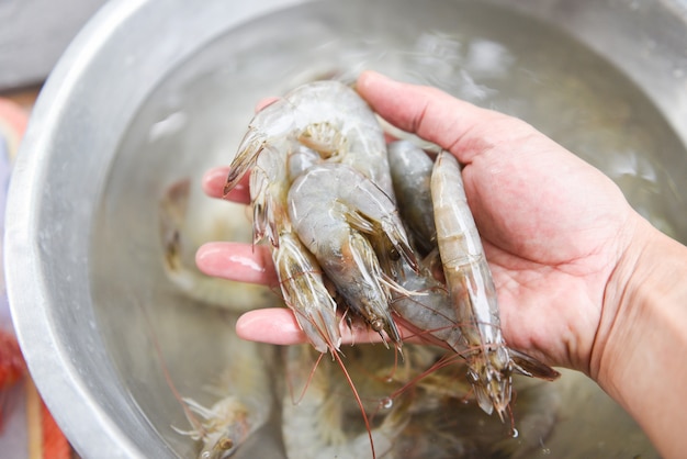Hand holding fresh raw shrimps