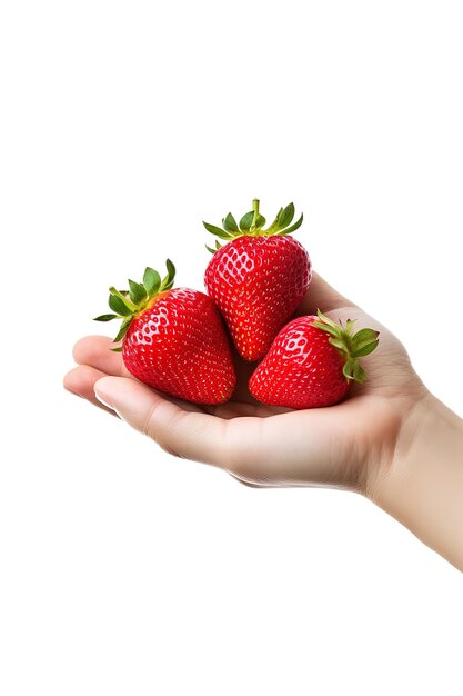 Hand holding fresh strawberries isolated on a white background