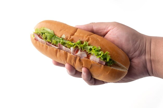 Hand holding fresh submarine sandwiches with bacon isolated on a white background
