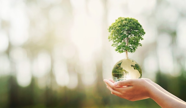 Hand holding glass globe ball with tree growing and green nature