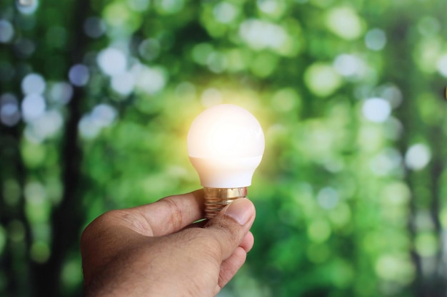 Рука держит светящуюся лампочку на фоне природы боке Эко-концепция экологически чистой энергии зеленой энергии