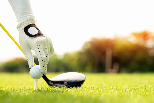 Golf Ball und Golf Verein im Tasche auf Grün Gras beim Sonnenuntergang.  Golfspieler. generativ ai 28340515 Stock-Photo bei Vecteezy