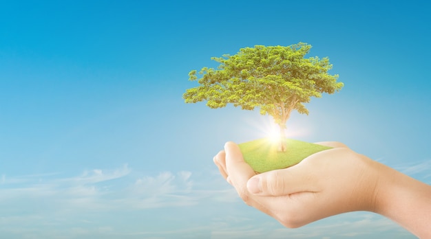 Hand holding green tree over blue sky. ecology concept