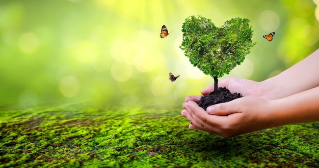 Hand holding a heart tree environment earth day