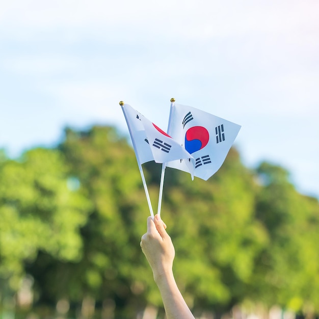 Фото Рука держит корейский флаг на фоне природы национальный фонд gaecheonjeol public национальный праздник день национального освобождения кореи и концепции счастливого празднования