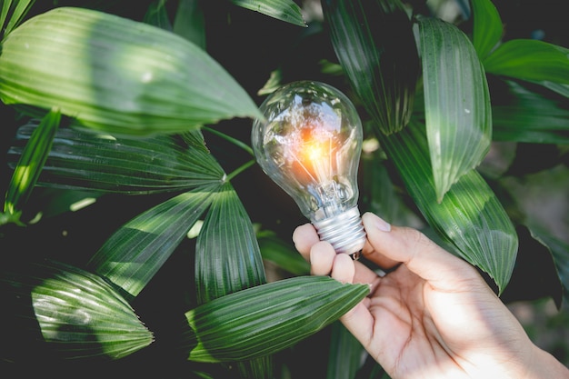 Hand holding light bulb,energy sources for renewable,natural energy and love the world concept.