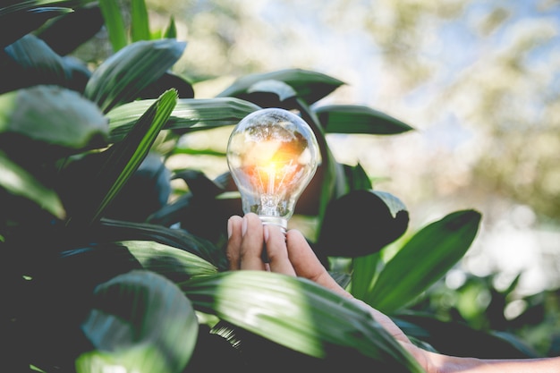 Hand holding light bulb,energy sources for renewable,natural energy and love the world concept.