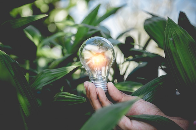 Photo hand holding light bulb, energy sources for renewable