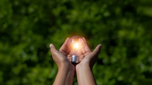 電球を握る手 緑の葉の背景 自然エネルギーと環境の概念