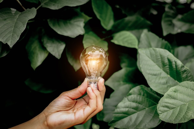 Photo hand holding light bulb,natural energy and love the world concept.