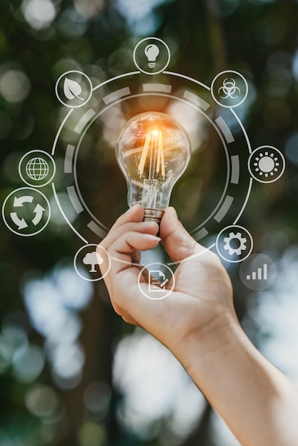 Hand holding light bulb in nature on green background for energy concept