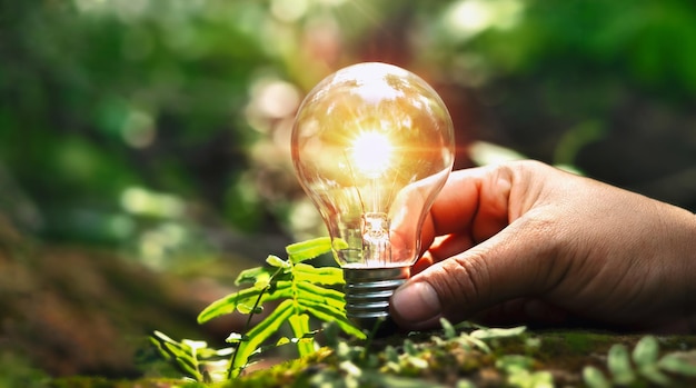 Фото Рука держит лампочку на почве с концепцией солнечного света, экономящей энергию в природе