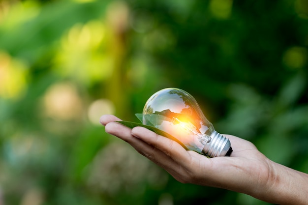 Hand holding light bulb