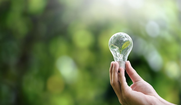 Mano che tiene lampadine e piante in crescita ambiente sostenibilità salva il mondo pulito concetto di ecologia banner per la giornata della terra con spazio per la copia