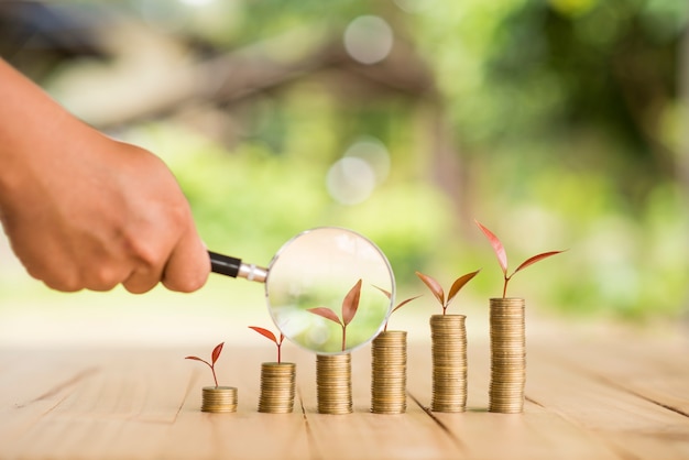 Hand holding magnifying glass with Money growing plant step with deposit coin. Bank and investment business concept.