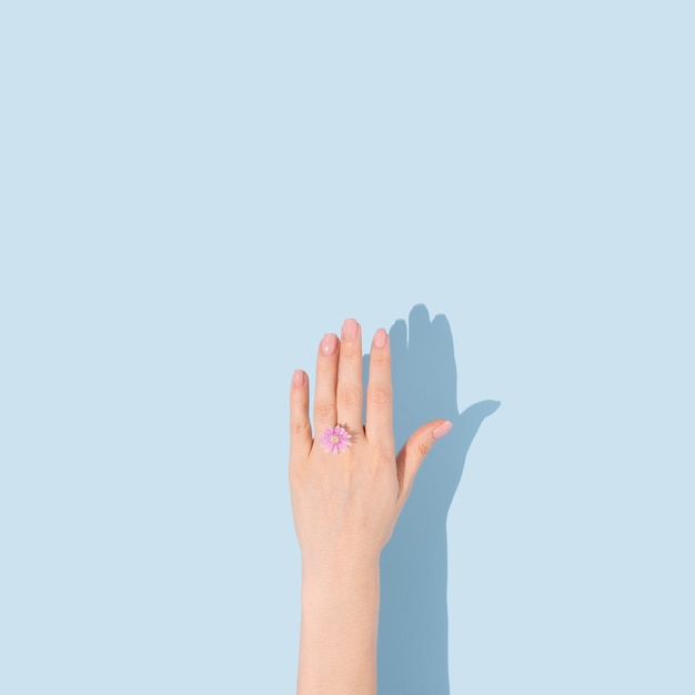 Hand holding one small flower in the form of a ring Minimal conceptual flat lay idea Copy space