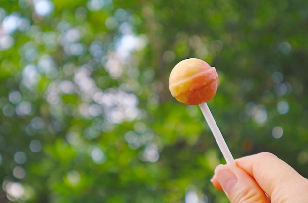 Hand Holding an Orange and Lemon Lollipop Candy against Green Foliage