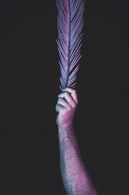Рука, держащая пальмовый лист в неоновом свете на черной концепции ретро-стиля минимализма