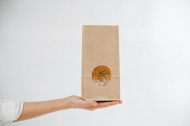 Hand holding a paper bag with a green plant showing through a window in it. Over white background. Eco friendly concept.