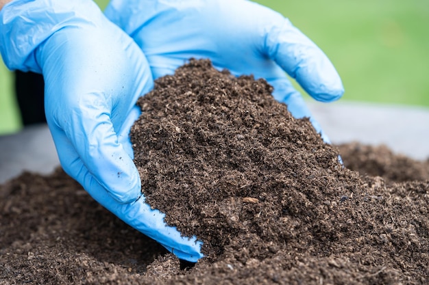 Foto mano che tiene la materia organica del muschio di torba migliora il suolo per l'agricoltura concetto di ecologia della coltivazione di piante organiche