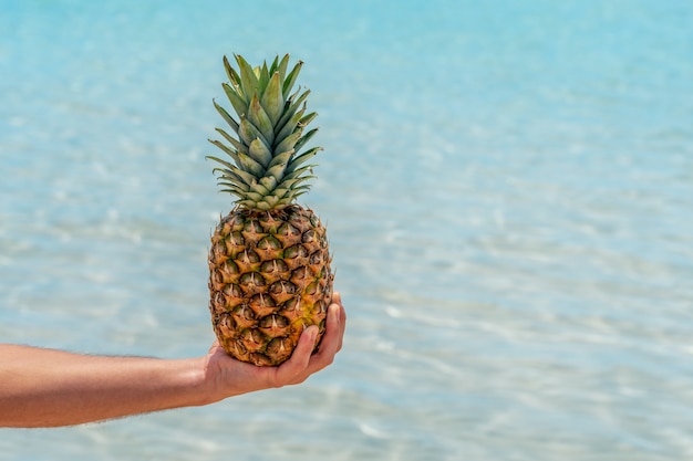 Mano che tiene ananas sullo sfondo del mare