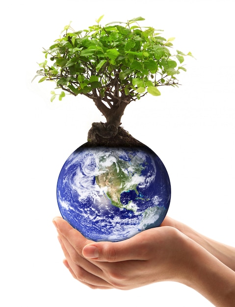 Hand holding a Planet Earth with tree 