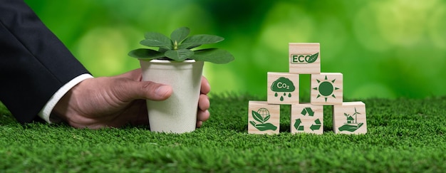 a hand holding a pot of wood next to a plant in a pot with the words eco on it.