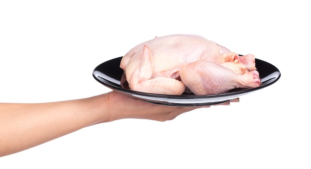 hand holding Raw chicken on a black plate isolated on white background