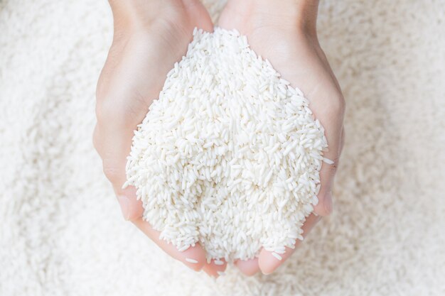 Photo hand holding raw white rice