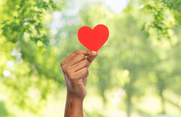 hand holding red heart over natural background