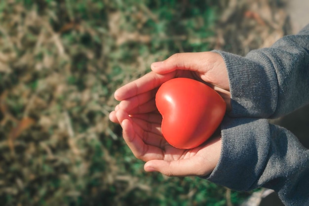 Una mano che tiene il cuore rosso è la mano destra sinistra che la tiene su sfondo verdecuore healthhappy