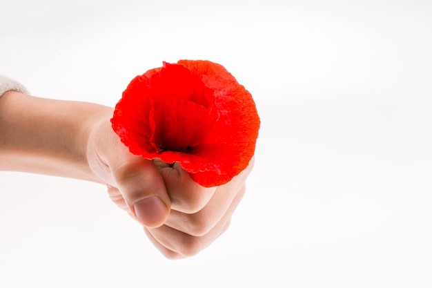 Hand holding a Red Poppy