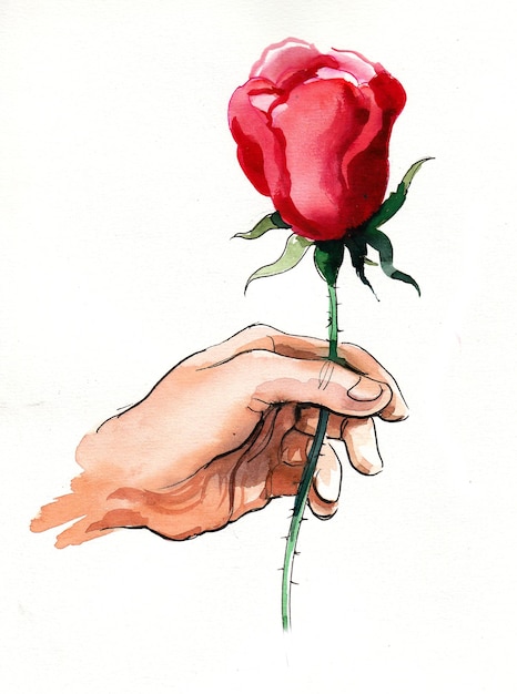 Foto mano che tiene un fiore di rosa rossa. disegno a china e acquerello