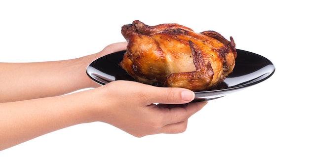 hand holding Roasted chicken in plate isolated on white background