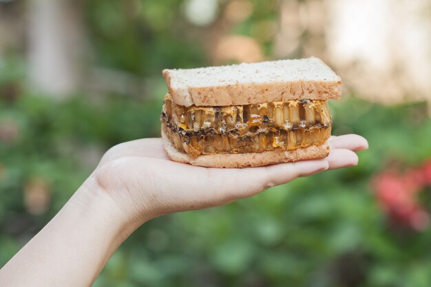 hand holding a sandwich honeycomb