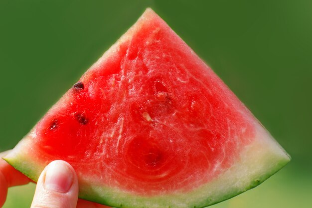 Mano che tiene la fetta di anguria isolata su uno sfondo verde vicino