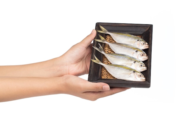 hand holding Small fishes on bamboo woven tray isolated on white background