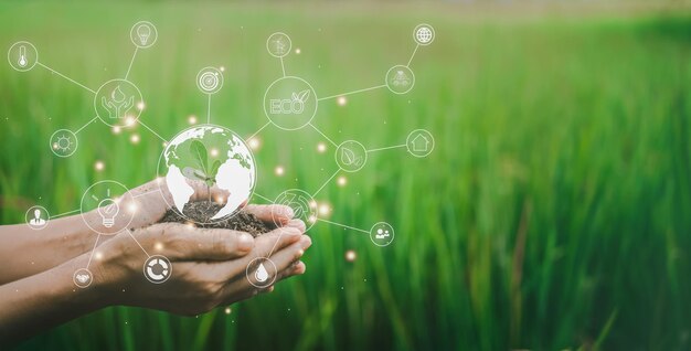 Hand holding soil and seedling with globe hologram Environment and ecology concept Save the world project Nature background