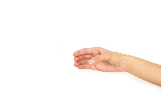 A hand holding something on a white background