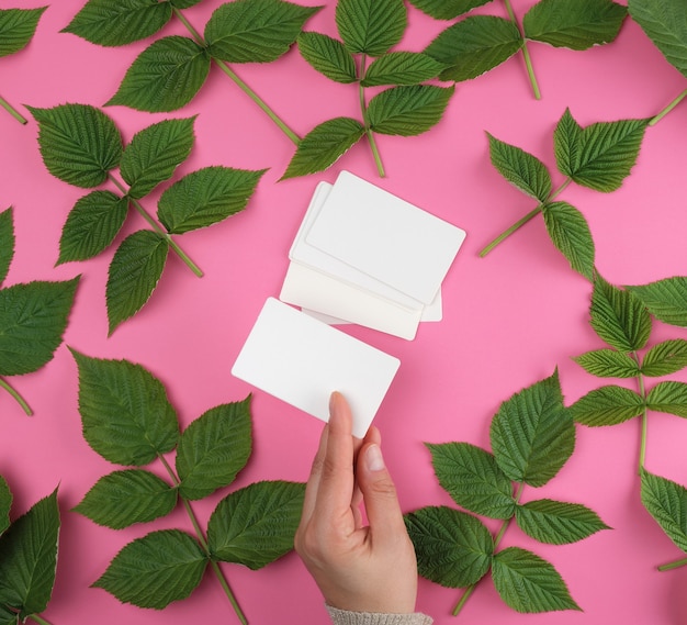 Hand holding a stack of white empty paper business cards