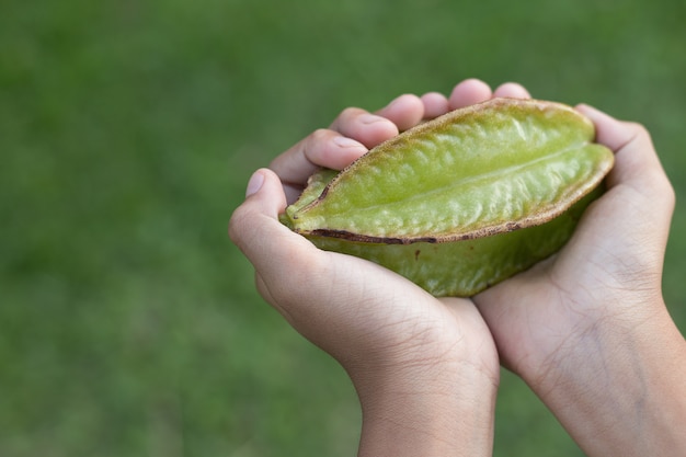 Hand holding star-apple fruit with green fresh natural background