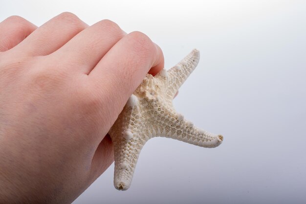 Hand holding starfish in foamy water