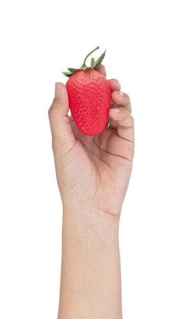 Hand holding strawberry for decoration artificial fruit\
ornaments artificial foam fake imitation isolated on white\
background